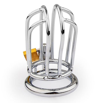 Cage de chasteté en métal Lineale - Cocklock
